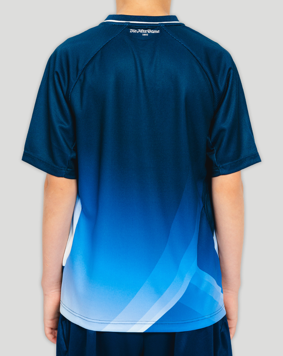 Back view of Hertha BSC 26/27 away shirt in blue gradient