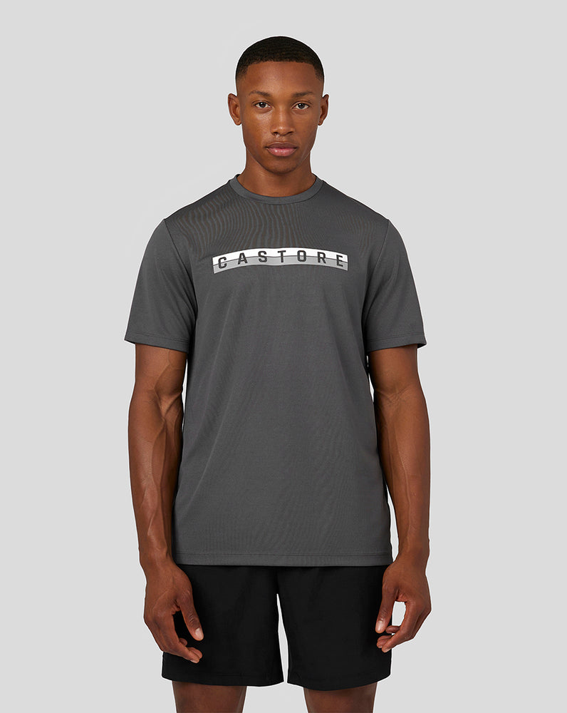 Men's Short Sleeve Graphic Raglan T-Shirt - Gunmetal
