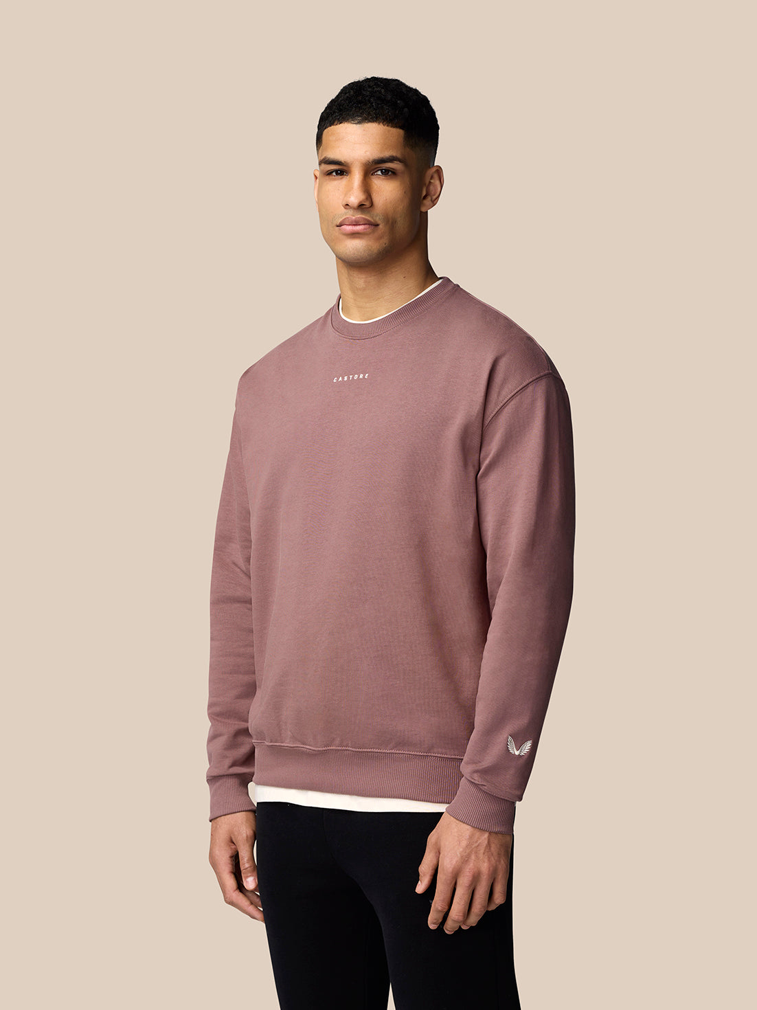 Male model wearing mauve oversized sweatshirt with small chest logo and wing emblem on left sleeve.