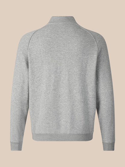 A light gray heathered long-sleeve quarter-zip sweatshirt shown from the back, featuring a mock neck and ribbed cuffs and hem, set against a solid beige background.