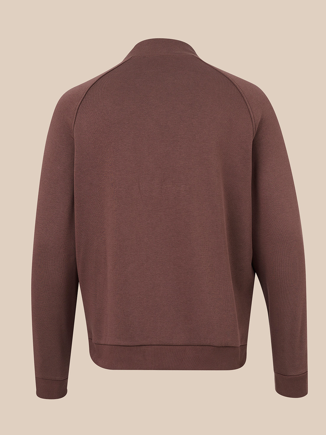 A dark brown long-sleeve knit top shown from the back, featuring a mock neck and raglan-style shoulder seams, set against a solid beige background.