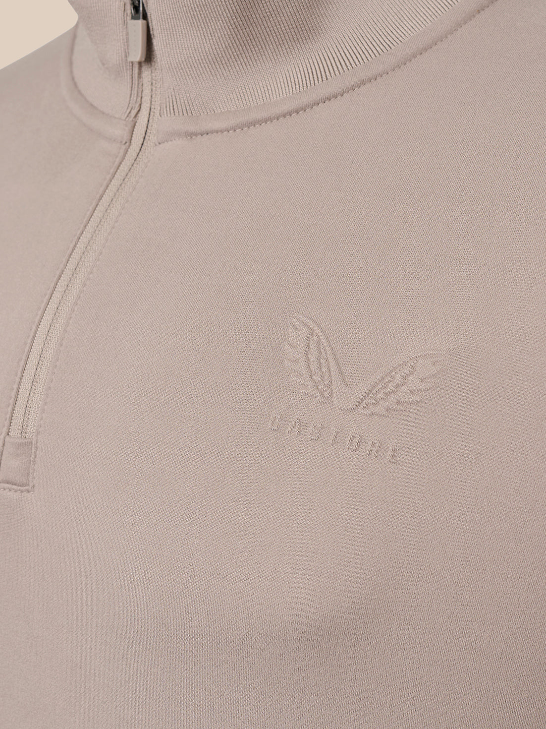 Close-up of a light taupe quarter-zip pullover sweater with a tonal embroidered winged logo and the brand name 'CASTORE' on the chest.