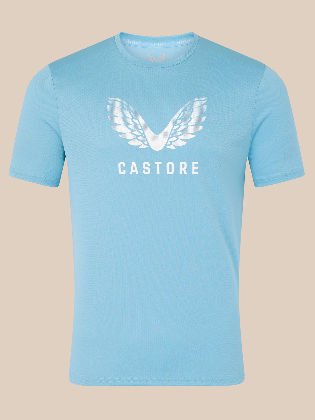 Men's Wings Graphic T-Shirt - Blue