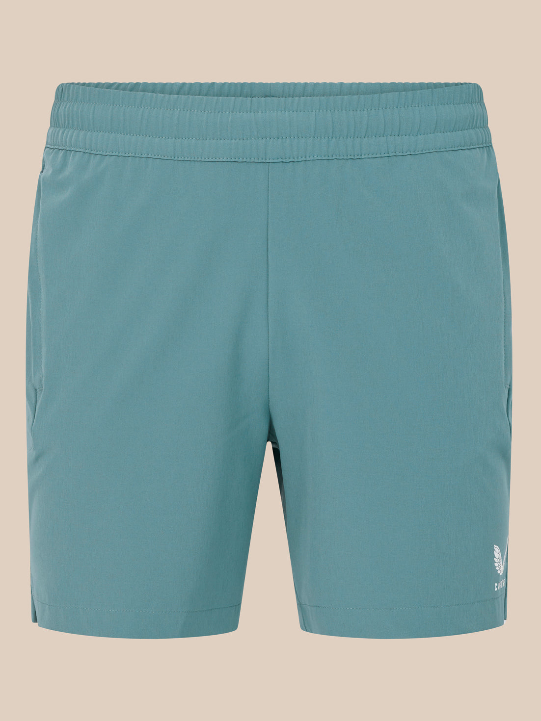 Men's 6" Training Shorts - Blue
