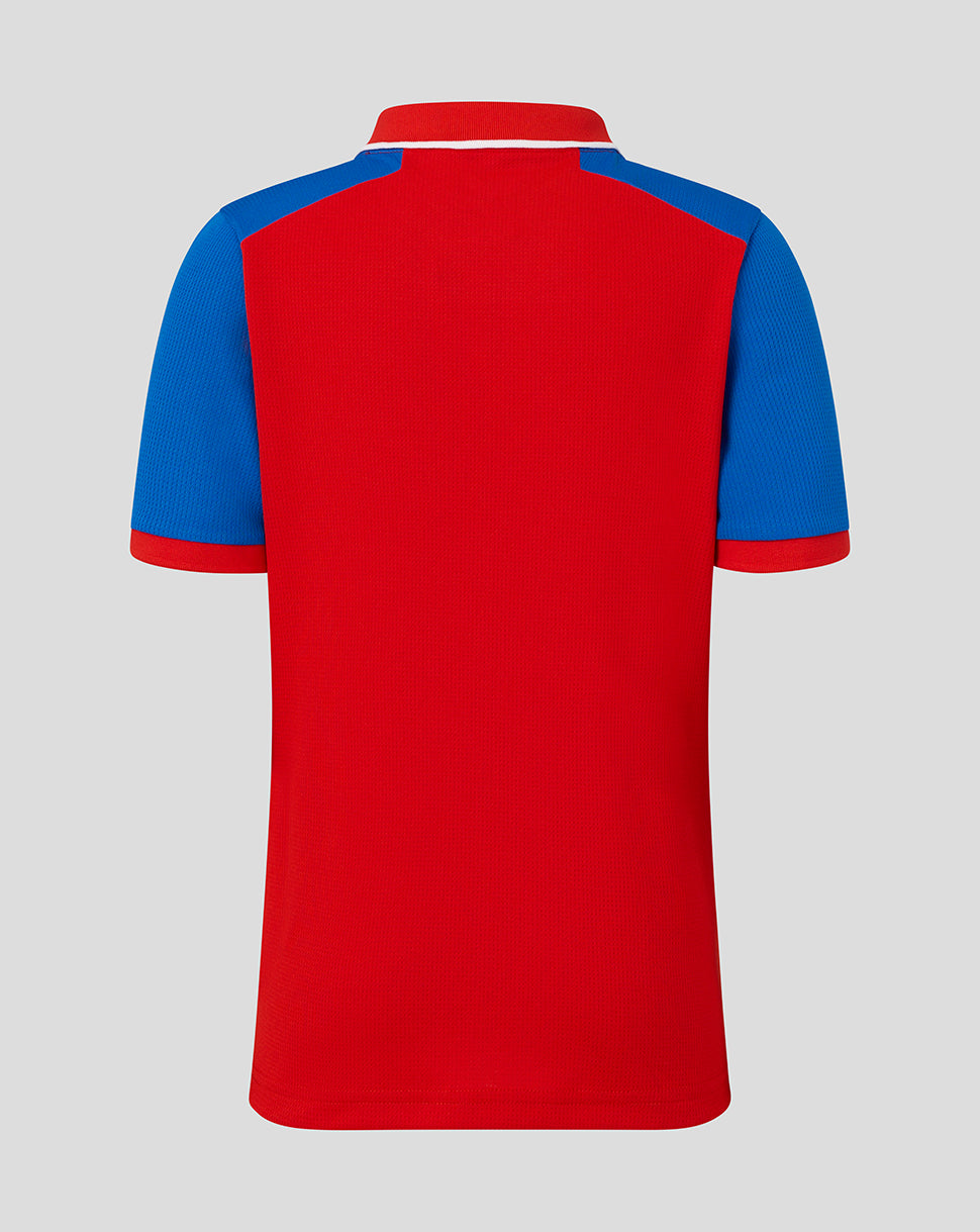 Red polo shirt with blue sleeves on a gray background
