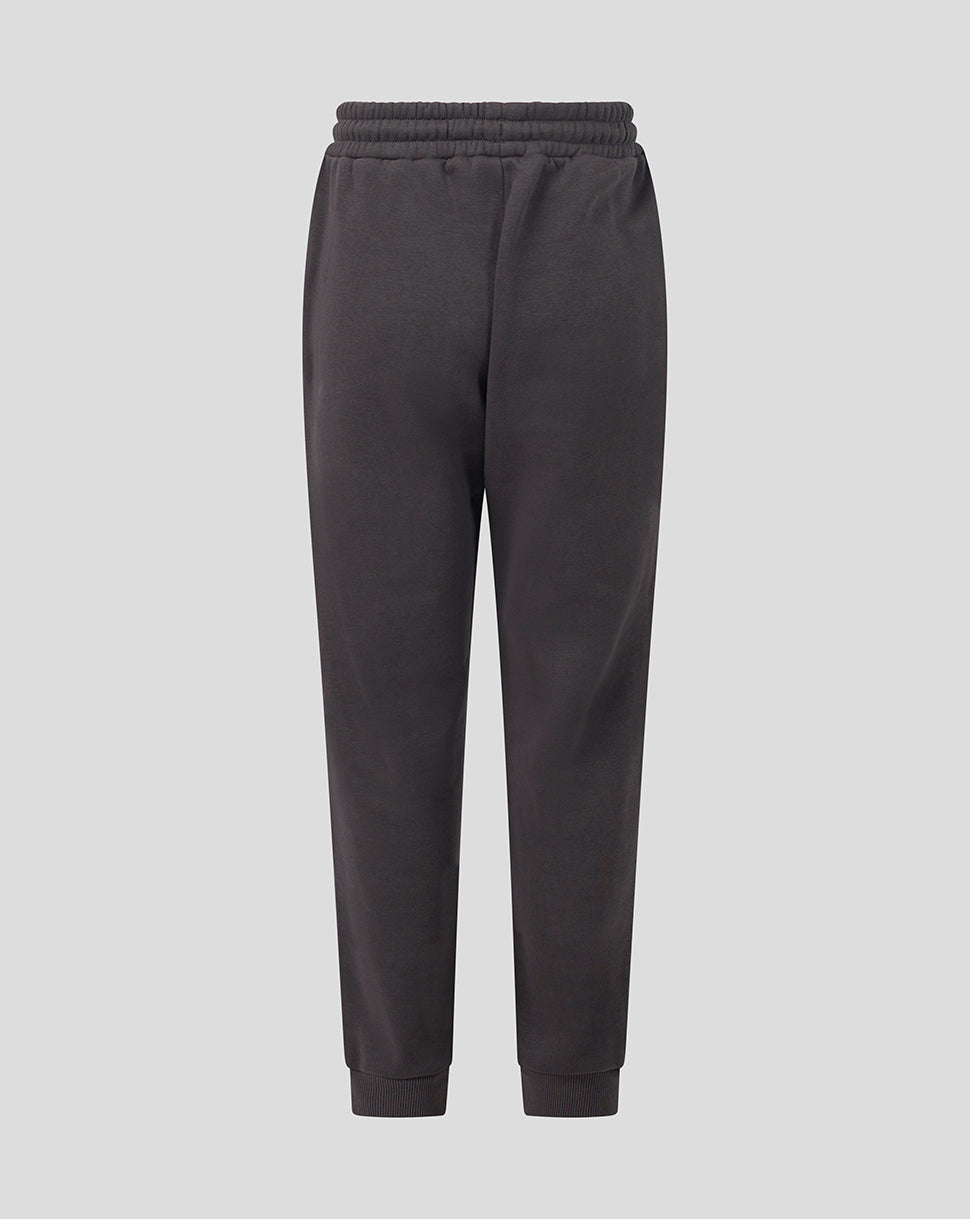 Dark charcoal gray sweatpants with an elastic waistband and ribbed ankle cuffs, shown from the back on a light gray background.