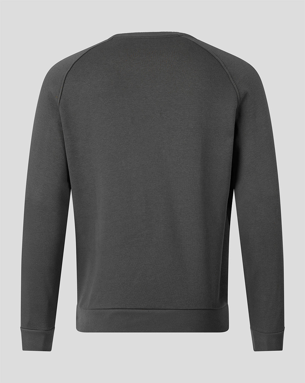 A dark gray crewneck sweatshirt shown from the back, featuring raglan sleeves and ribbed cuffs and hem, displayed on a neutral light gray background.