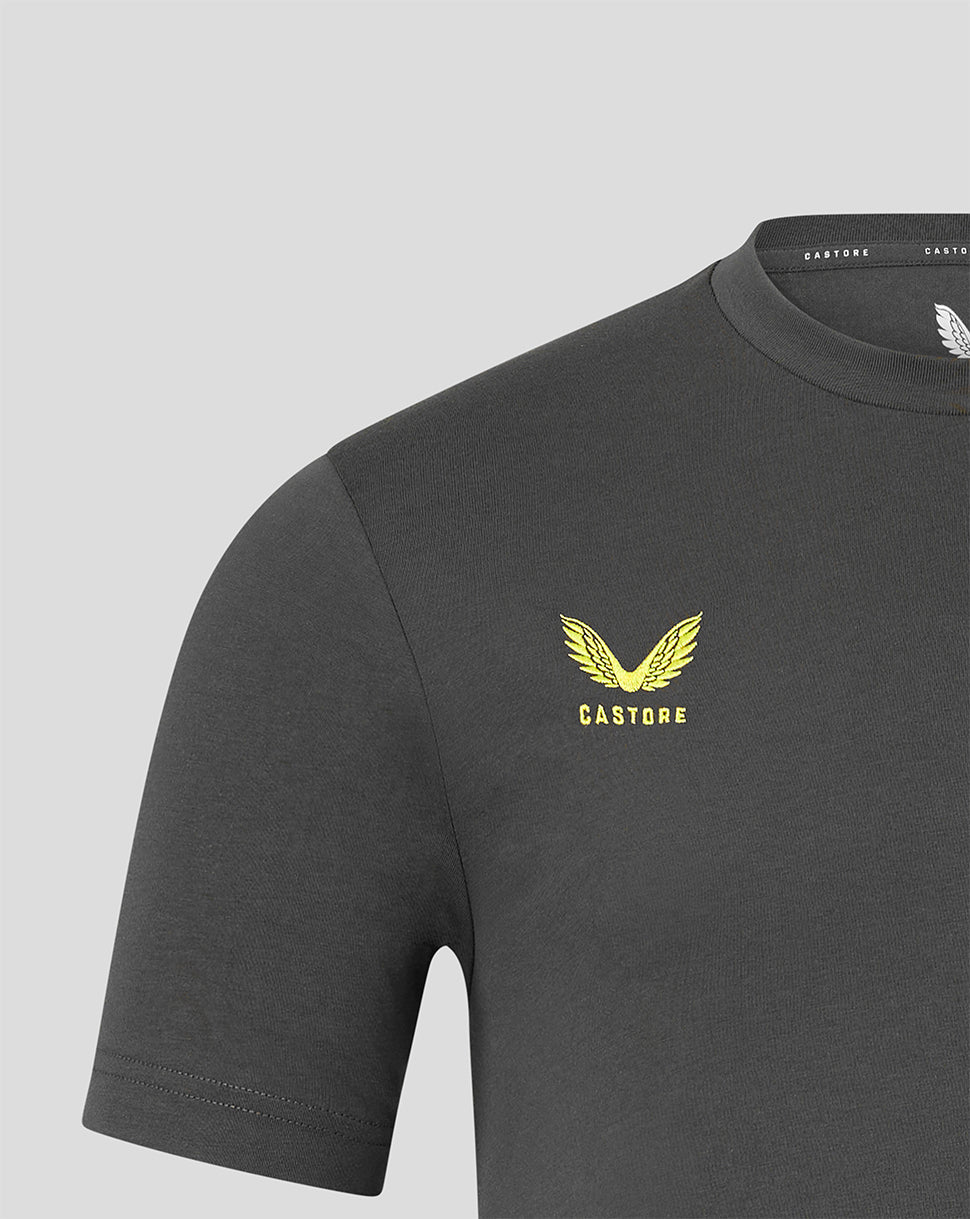 A close-up of a dark gray crewneck t-shirt featuring a yellow winged logo and the brand name 'CASTORE' printed on the left chest, set against a solid light gray background.