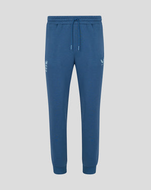 Blue jogger pants with a brand logo on a light gray background