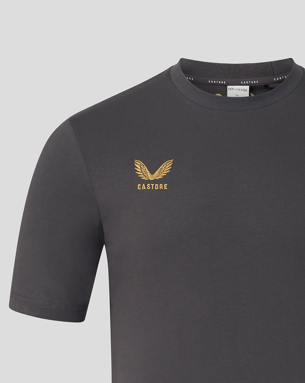 A close-up of a dark gray Castore short-sleeve t-shirt featuring a gold winged logo and brand name on the left chest, set against a light gray background.