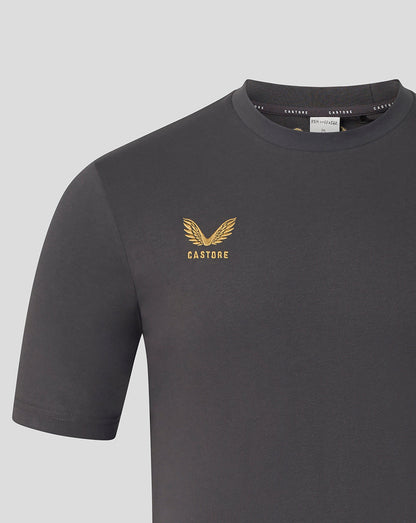 A close-up of a dark gray Castore short-sleeve t-shirt featuring a gold winged logo and brand name on the left chest, set against a light gray background.