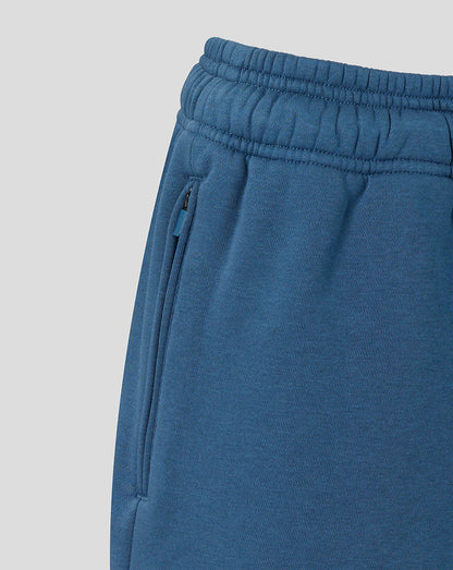 Blue sweatpants with a plain background