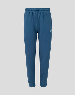 Blue jogger pants on a light gray background