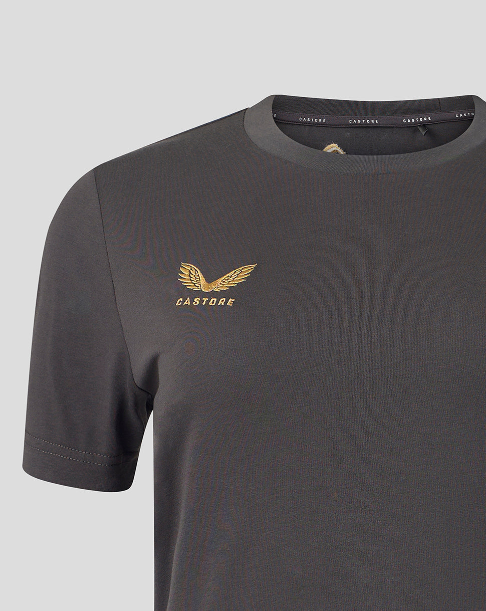 A close-up of a dark gray crewneck t-shirt featuring a gold embroidered winged logo and the brand name 'CASTORE' on the left chest, set against a light gray background.