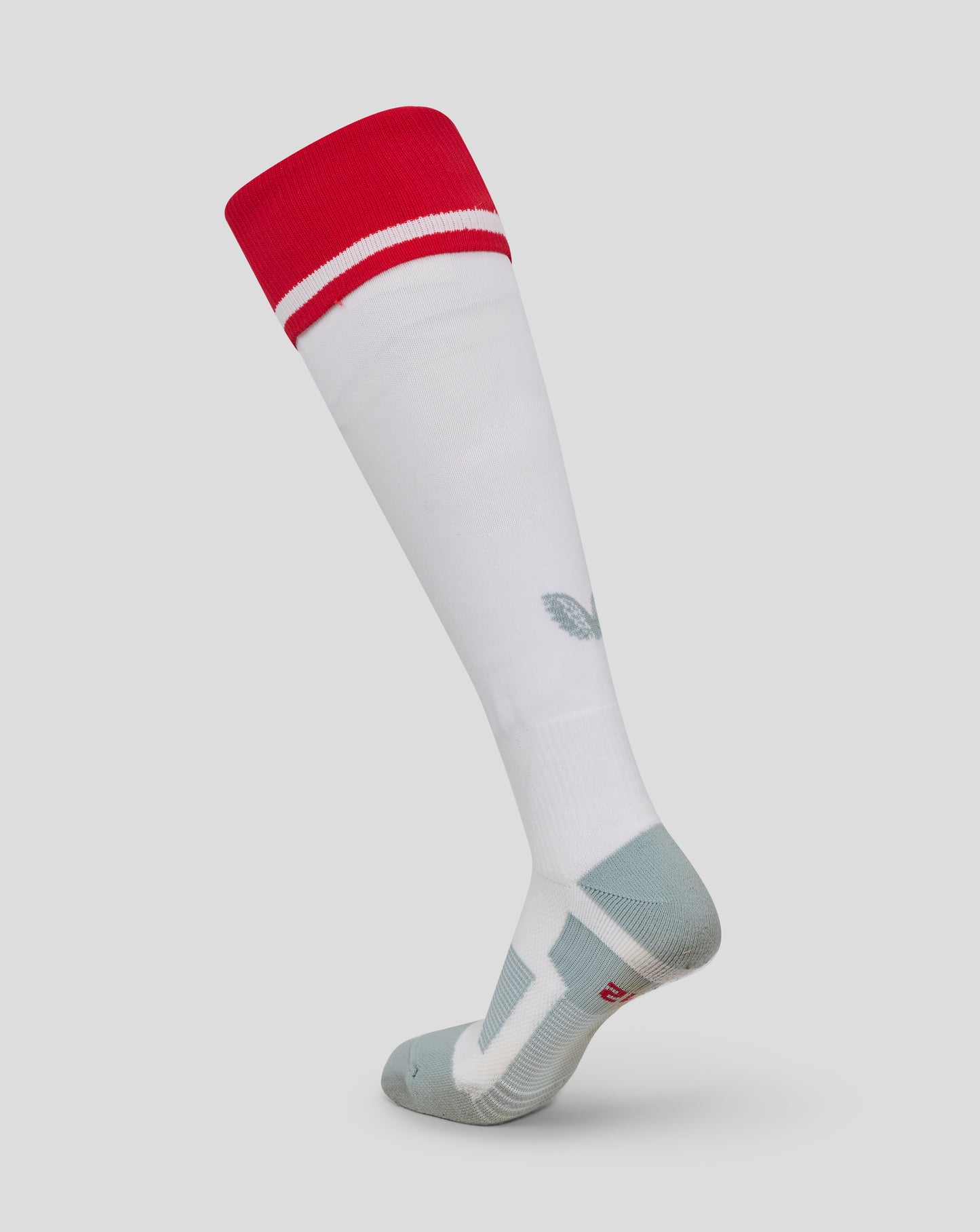 Red Roses Home Sock