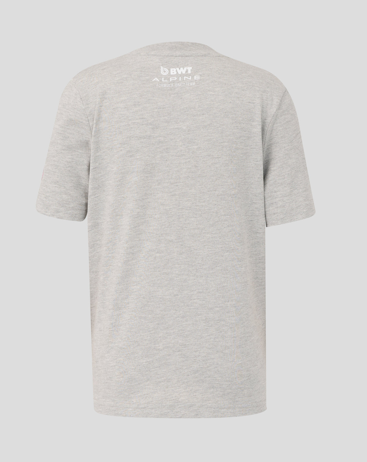 Back view of grey marl junior graphic T shirt with white Alpine branding near the upper back