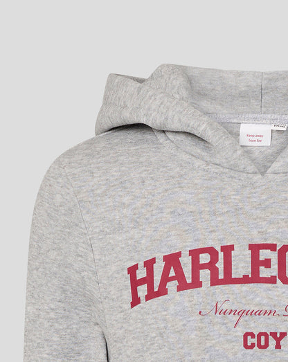Gray hoodie with red and white text on a light gray background