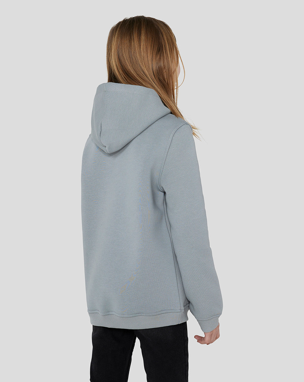 Oracle Red Bull Racing Junior Core Overhead Hoodie - Grey - Grey