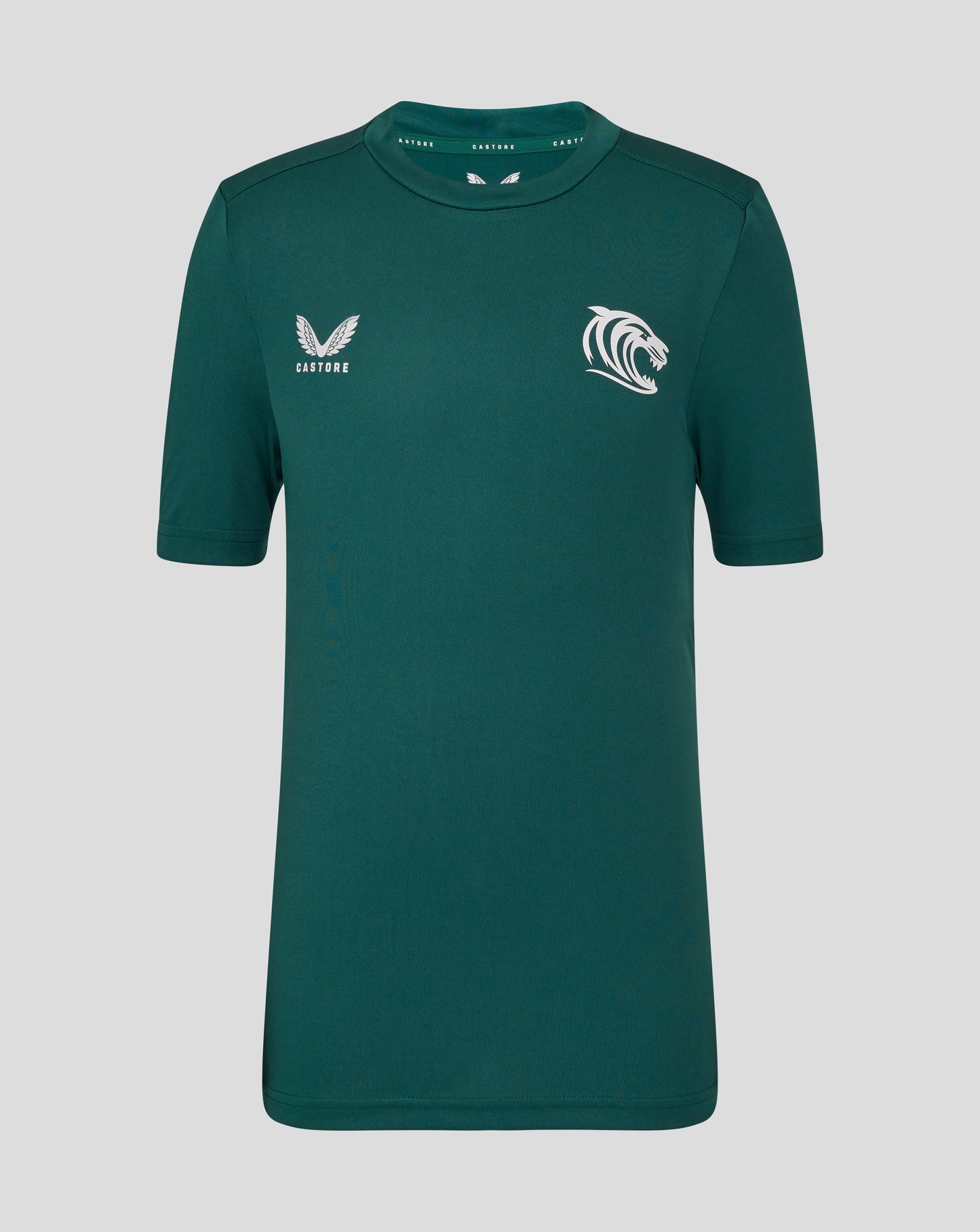 Leicester Tigers Junior 25/26 Short Sleeve Training T-Shirt - Botanical