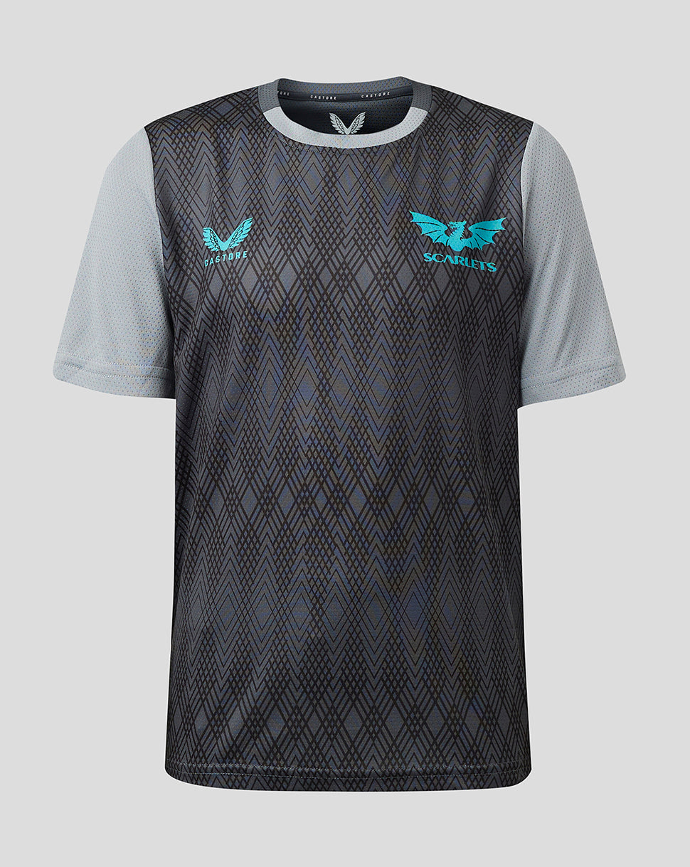 Scarlets Junior 23/24 Short Sleeve Training T-Shirt - Grey