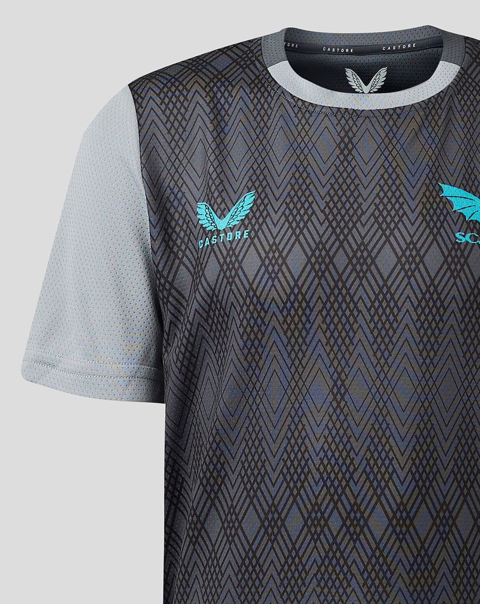 Scarlets Junior 23/24 Short Sleeve Training T-Shirt - Grey