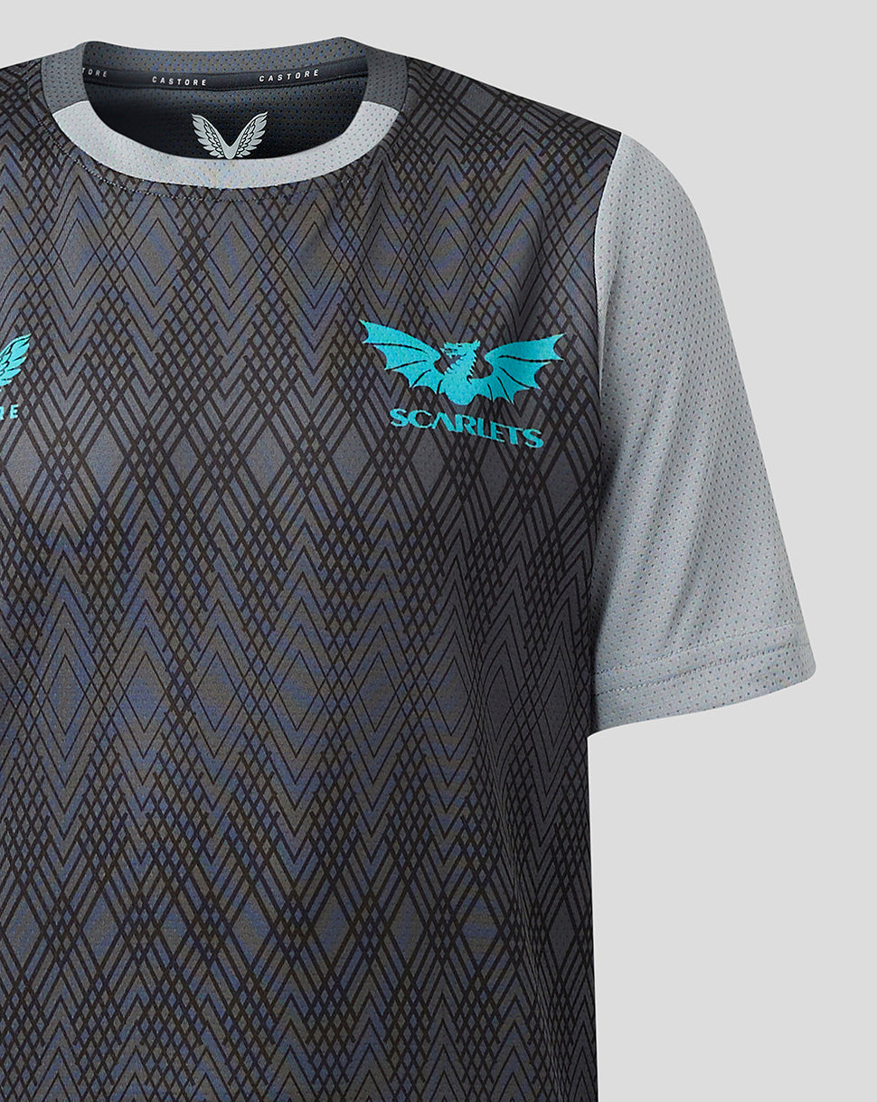 Scarlets Junior 23/24 Short Sleeve Training T-Shirt - Grey
