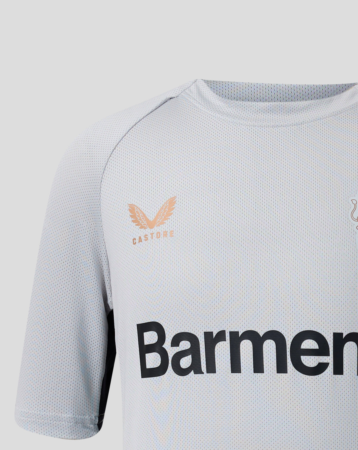 Camiseta Bayer 04 Leverkusen Training Players – Gris