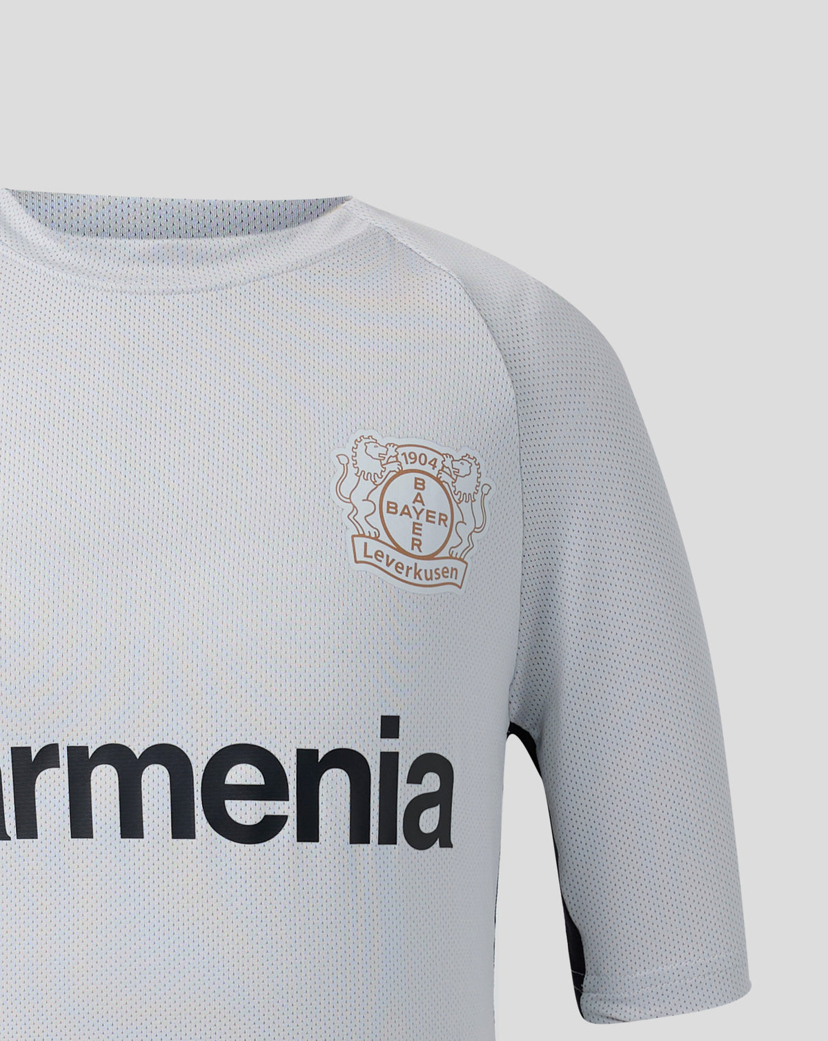 Camiseta Bayer 04 Leverkusen Training Players – Gris