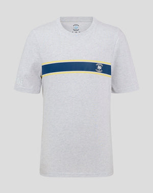 Grey junior short sleeve T-shirt with navy stripe across the chest and a crest on the left