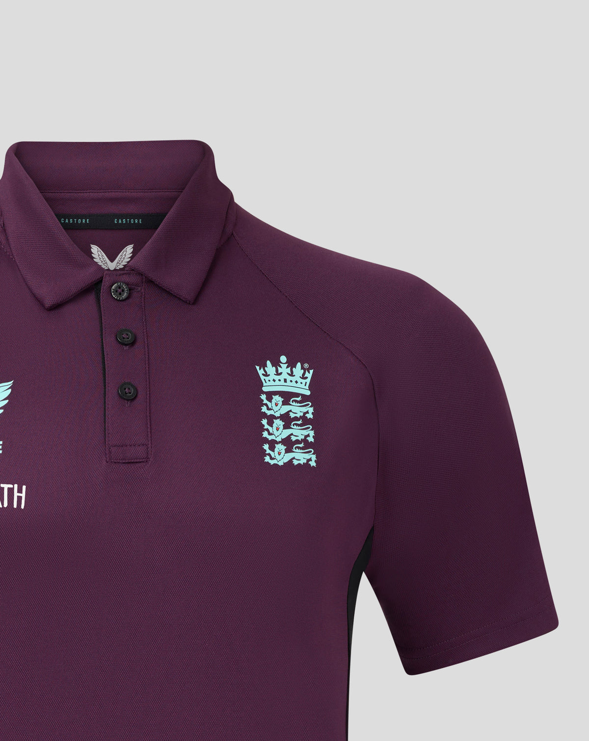 England Cricket Men's 25/26 Pro Presentation Polo - Blackberry Wine/Caviar