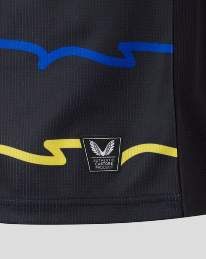 Everton 25/26 Men's Third Shirt