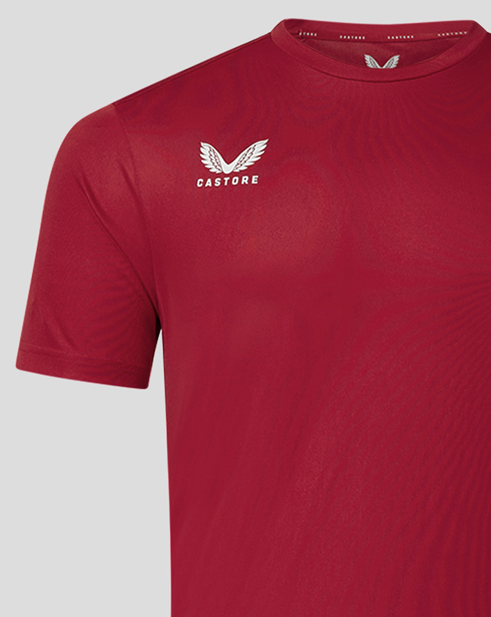 Mens Short Sleeve Training T-Shirt - Biking Red - Biking Red