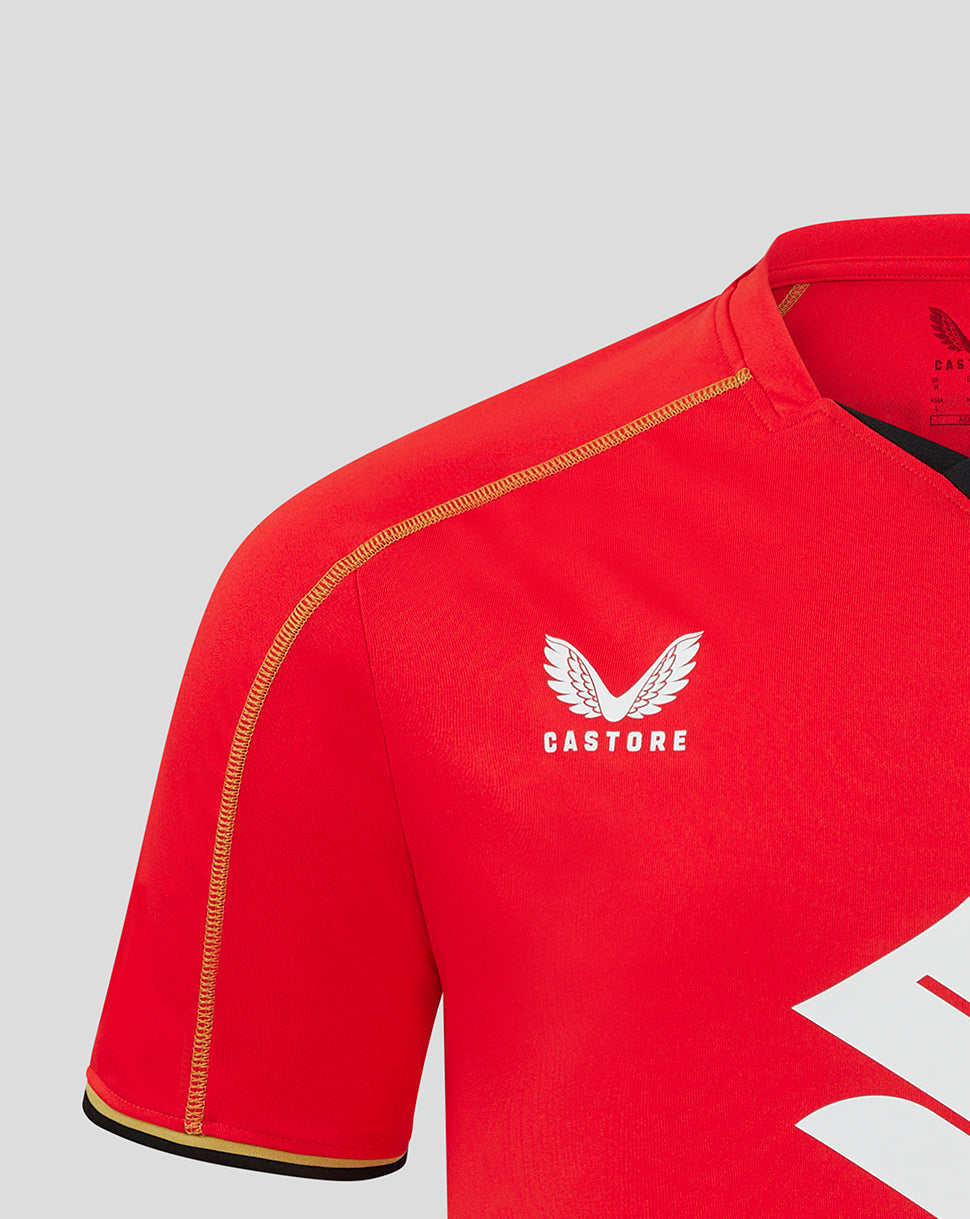 Mk Dons Men's 24/25 Away Shirt - Red
