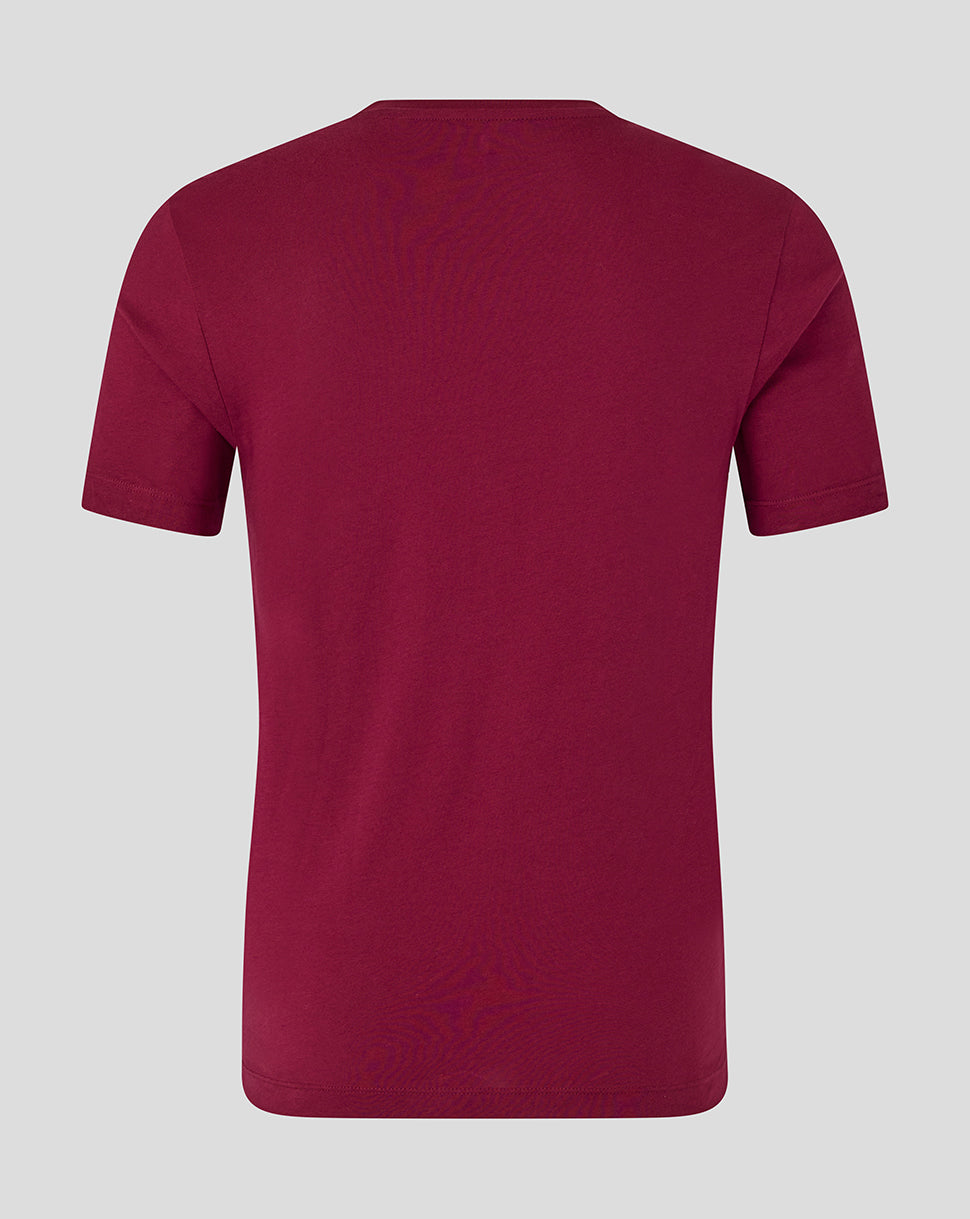 England Cricket Unisex 25/26 Essentials Ashes T-Shirt - Burgundy - Burgundy