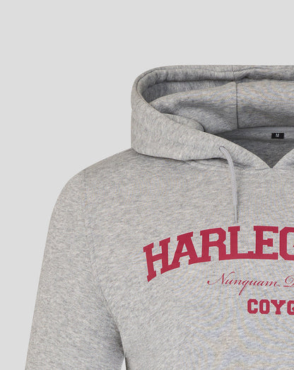 Gray hoodie with red text on a light gray background